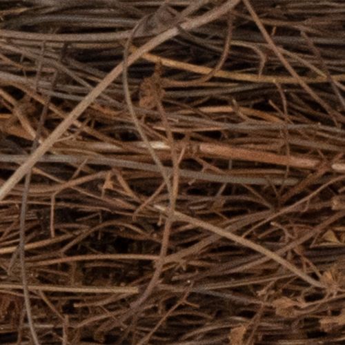 Rebenkranz Natur Ø15cm 10er Set - Ideal für Herbst-, Weihnachts-, Oster- und Trauerdekoration | Floristik24.de