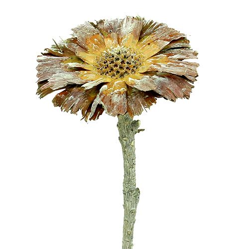 Repens Rosette Grün gefrostet 8cm - 9cm 25 St