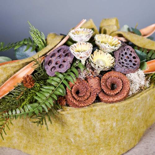 Artikel Repens Rosette Grün gefrostet 8cm - 9cm 25 St