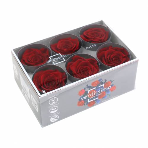 Artikel Infinity Rosen Groß Ø5,5-6cm Rot 6 St