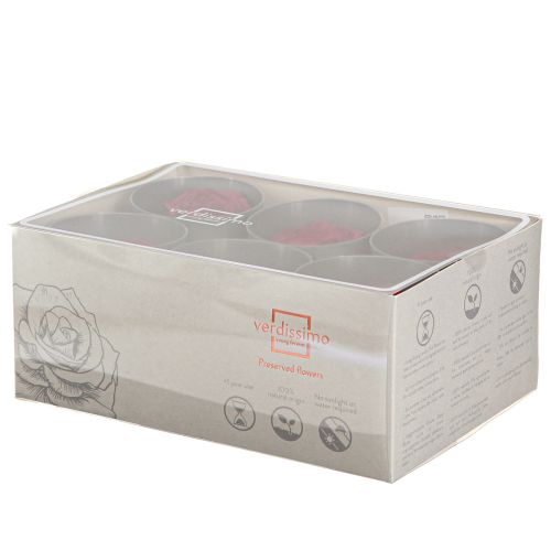 Artikel Rote Rosen Infinity Rosen Echte Rosenköpfe Rot Ø6cm 6 St