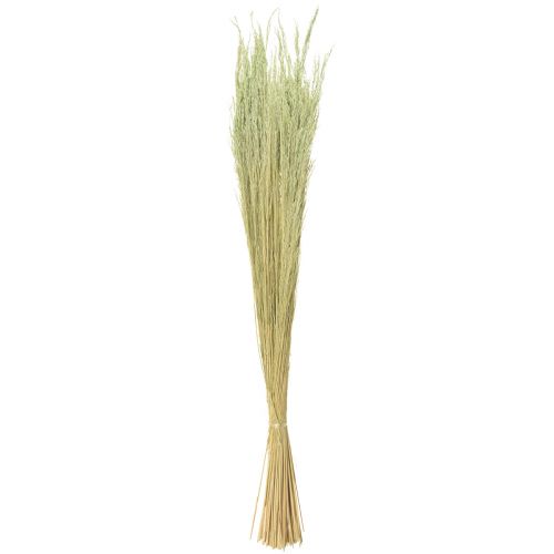 Artikel Straußgras Agrostis Capillaris Trockengräser Grün 65cm 80g