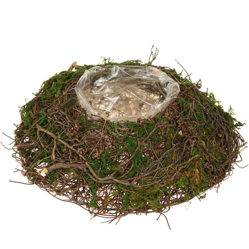 Artikel Runde Pflanzschale Moos Reben Mit Folie Ø20cm H7cm