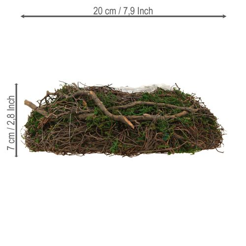 Artikel Runde Pflanzschale Moos Reben Mit Folie Ø20cm H7cm