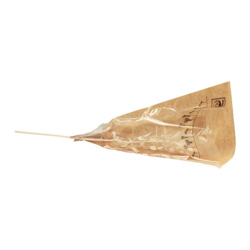 Floristik24 Ruscus getrocknet Dekozweig Ruscus gebleicht 62cm 3St