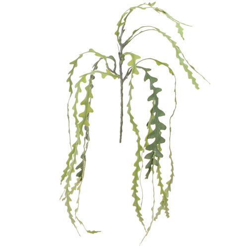 Sägeblattkaktus Künstlich Epiphyllum anguliger L68cm 3 St