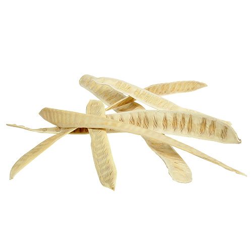 Artikel Scalettaschote gebleicht 25 St