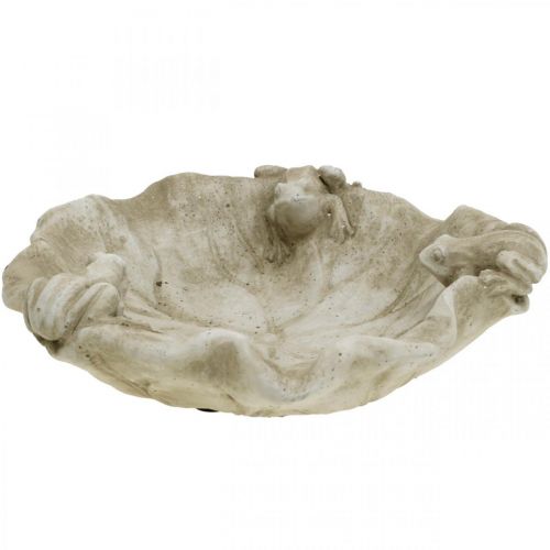 Floristik24 Vogeltränke mit Fröschen, Beton Gartenfigur, Vogelbad Lotusblatt B21cm H7cm