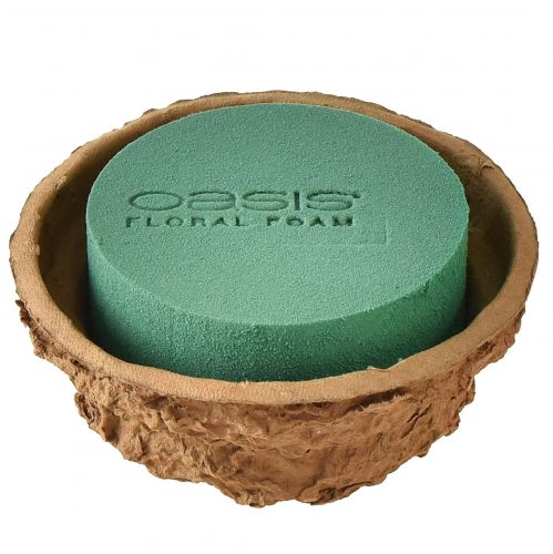 Artikel Schale Blumengesteck Nass Steckschaum H6cm Ø14cm 4 St