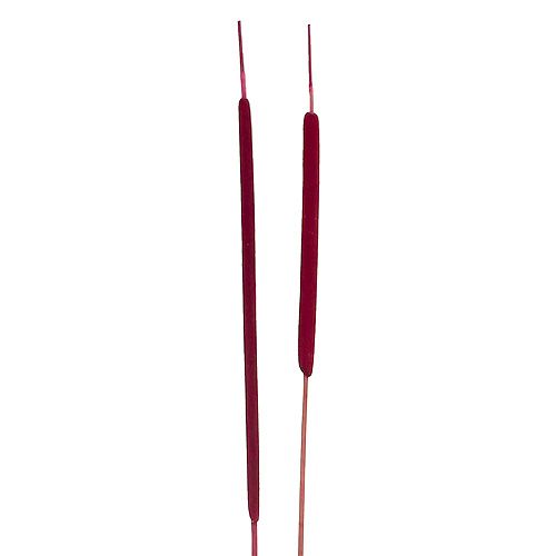 Artikel Schilfkolben Mix Erika 100 St