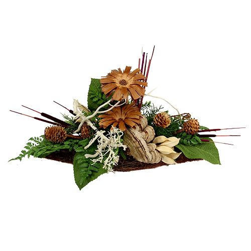 Artikel Schilfkolben Mix Erika 100 St