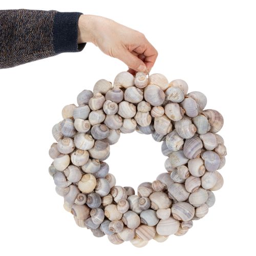 Schneckenkranz zum Hängen Deko Kranz Maritim Nathai Ø35cm | Floristik24.de