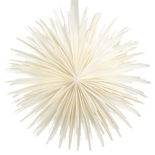 Artikel Schneeflocke Papier zum Hängen Großer Stern Weiß Ø50cm