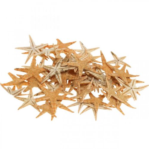 Artikel Seesterne Streudeko Home Deko Mini Seestern Natur 2-4cm 50St
