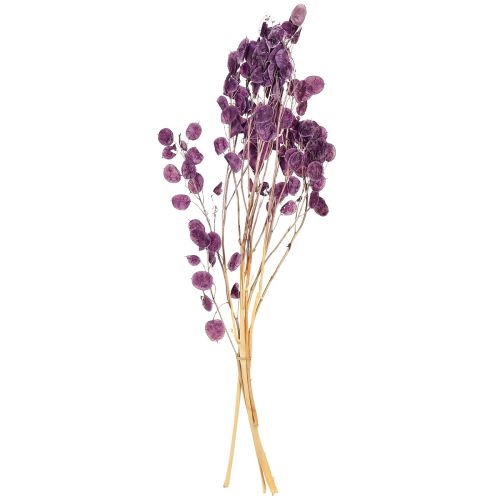 Artikel Silberblatt getrocknet Lunaria Mondviole Lila 65-70cm 20g