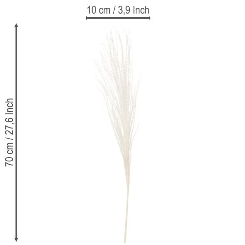 Artikel Trockenblumen Silbergras Elegante natürliche Dekoration für Zuhause und Büro 70cm 10St