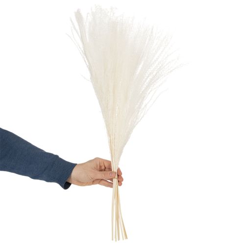 Trockenblumen Silbergras Elegante natürliche Dekoration für Zuhause und Büro 70cm 10St | Floristik24.de