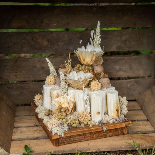 Artikel Sonnenblumenstiel gebleicht 10cm 24 St