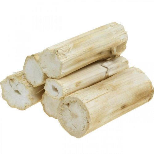 Artikel Sonnenblumenstiel gebleicht 10cm 24 St