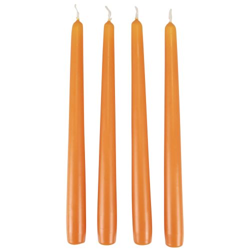 Floristik24 Spitzkerzen Stabkerzen Wenzel Kerzen Orange 250/23mm 12 St