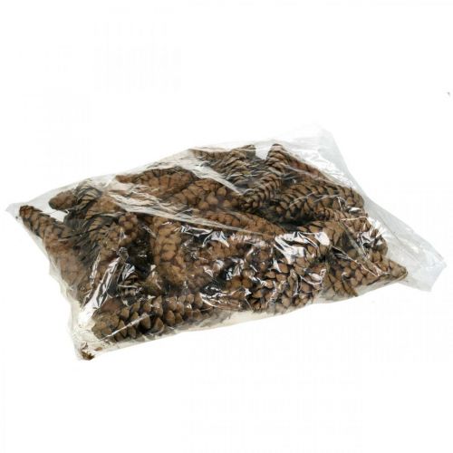 Artikel Kiefernzapfen Weymouthskiefer Strobus  Natur Gemischt 2,5kg