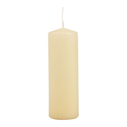 Stumpenkerzen Creme Adventskerzen Creme 150/50mm 24 St