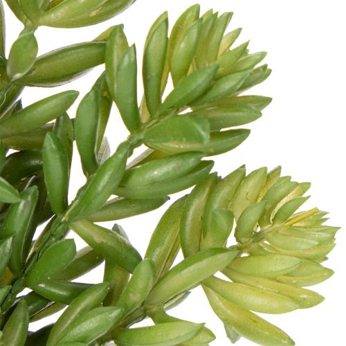 Artikel Sukkulente Kunstblume für pflegeleichte Gestaltung von Wohn- und Büroräumen 15cm 5St