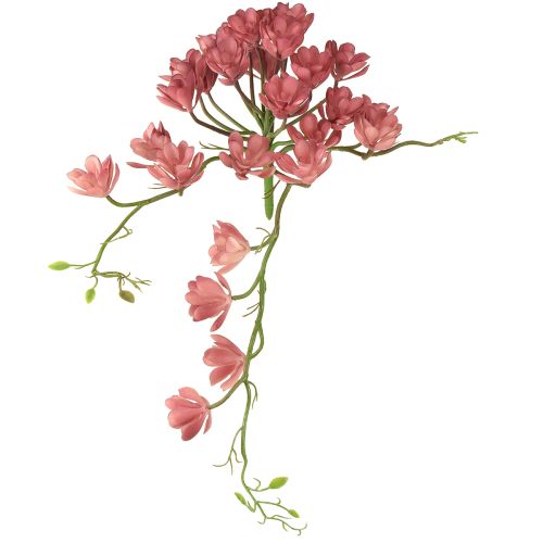 Artikel Sukkulente künstlich 28 Rosetten Aeonium Altrosa 43cm