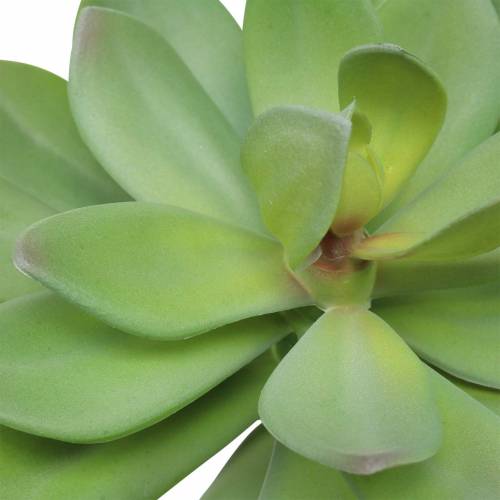 Artikel Sukkulente künstlich Grün 27cm