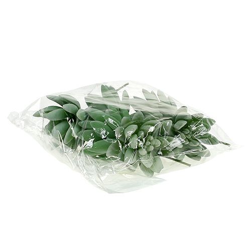 Artikel Sukkulente Echeveria Ø6,5cm L11cm 6 St