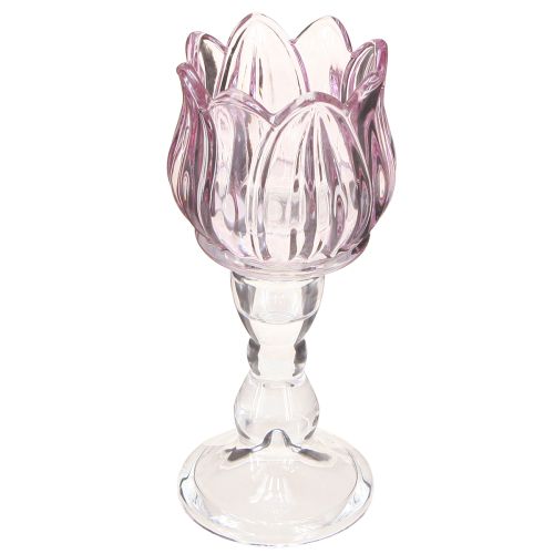Floristik24 Teelichtglas Tulpe Teelichthalter Glas Lila Ø7cm H16cm 2St
