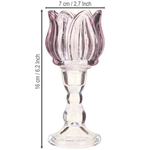 Artikel Teelichtglas Tulpe Teelichthalter Glas Lila Ø7cm H16cm 2St