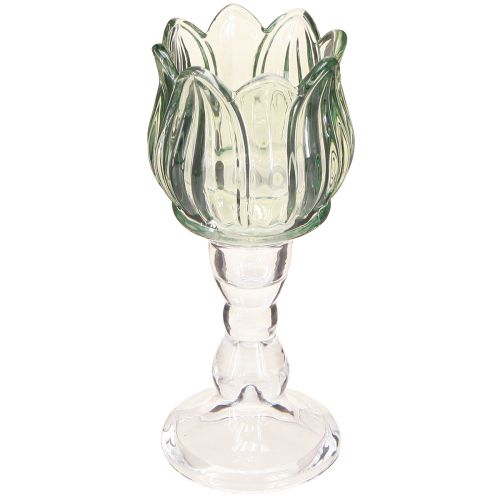 Floristik24 Teelichthalter Tulpe Glas Teelichtglas Grün Ø7cm H16cm 2St