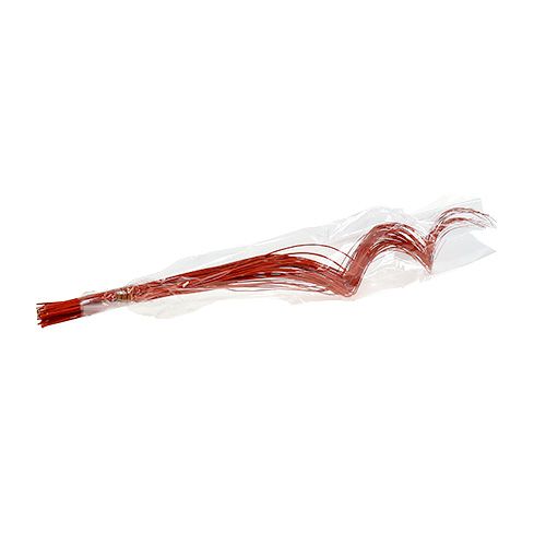 Artikel Ting Ting Curly 60cm Orange 40 St