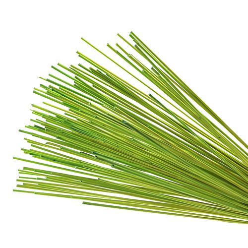 Artikel Deko-Stäbe Tonkin 70cm Hellgrün 150 St
