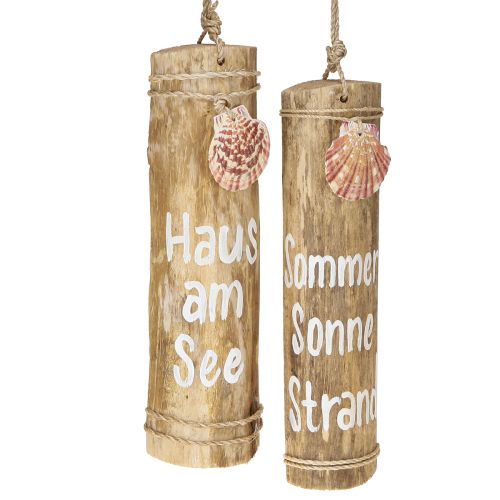 Floristik24 Treibholz Deko mit Muschel Wanddeko Holz H29cm 2St