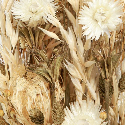 Artikel Trockenblumen Weiß Gold mit Capblumen Phalaris 30cm 200g