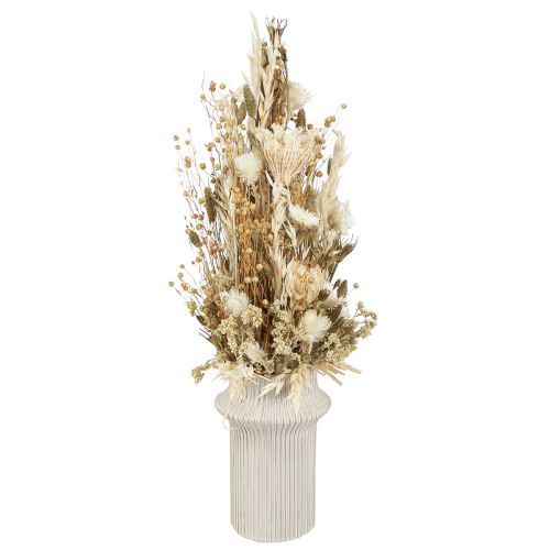 Floristik24 Trockenblumen Weiß Gold mit Capblumen Phalaris 30cm 200g