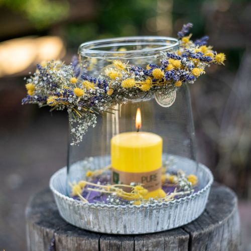 Artikel Trockenblumen Gelb Trockendistel Erdbeerdistel 100g