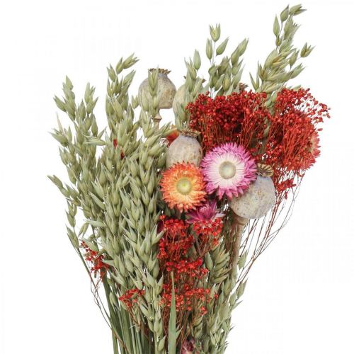 Trockenblumenstrauß Strauß Wiesenblumen Rot H50cm 150g
