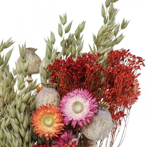 Artikel Trockenblumenstrauß Strauß Wiesenblumen Rot H50cm 150g
