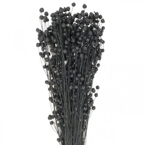 Trockengras Getrockneter Flachs Schwarz H50–55cm 80g