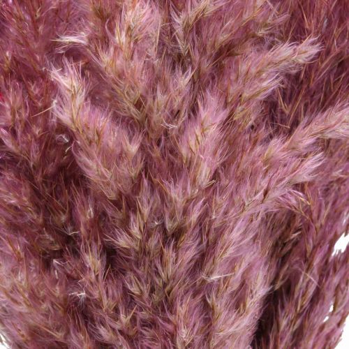 Artikel Trockengras Riedgras getrocknet Dekogras Rosa 70cm 10 St