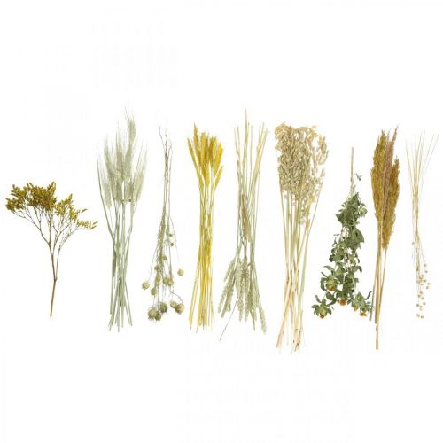 Artikel Trockenblumen DIY Set Gelb für Trockenstrauß 60cm