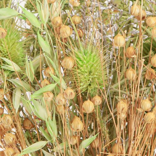 Artikel Trockenstrauß Karden Hafer Flachs Mint Natur Weiß 40cm 80g