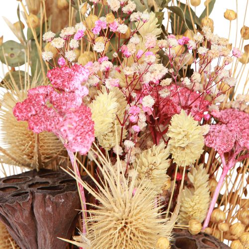 Floristik24 Trockenstrauß Lotos Flachs Distel Rosa Creme 50cm 100g