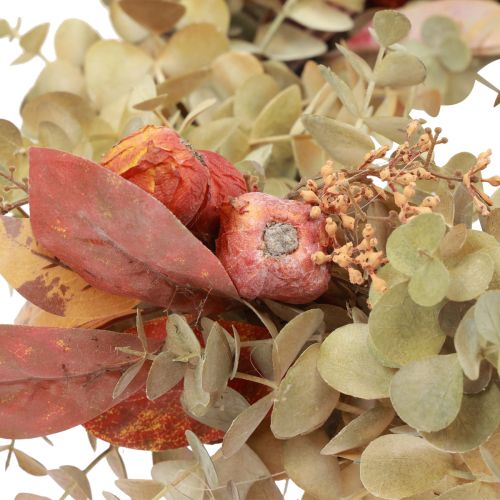 Floristik24 Türkranz Eukalyptus Eukalyptuskranz künstlich Deko Ø55cm