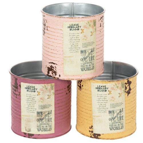 Blumentopf Dose Vintage Look mit Schriftzug zur Dekoration im Innenbereich 11cm 3St