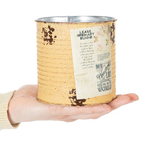 Artikel Blumentopf Dose Vintage Look mit Schriftzug zur Dekoration im Innenbereich 11cm 3St