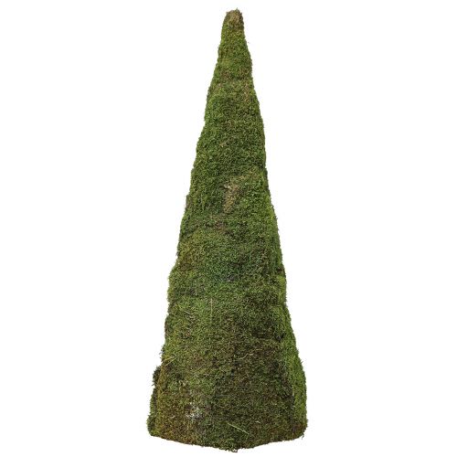 Artikel Weihnachtsbaum Moosbaum Deko in Grün Natur Ø25cm H70cm